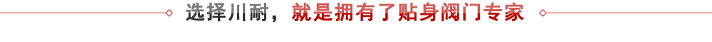 上海九游会第一真人视频游戏 - 专业阀门生产厂家